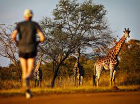 Big Five Marathon